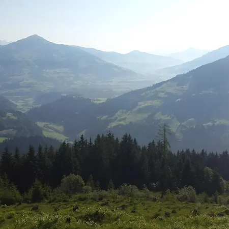 Schrandl Penningberg *