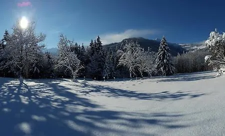 Daire Schrandl Penningberg Hopfgarten im Brixental