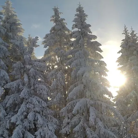 Daire Schrandl Penningberg